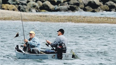 Безопасность на водоеме — памятка рыбаку