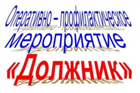 с 12 по 21 февраля 2024 год проводится оперативно-профилактическое мероприятие «Должник».