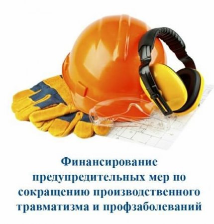 О финансовом обеспечении предупредительных мер в 2025 году