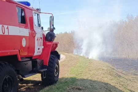 Богатовские огнеборцы тушили пожар на площади 200 квадратных метров  Горел сухостой