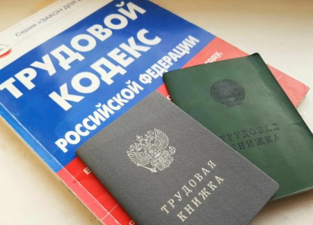 Официальное трудоустройство