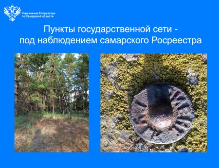 Пункты государственных сетей – под пристальным наблюдением