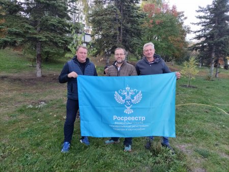 Березовая роща самарского Росреестра