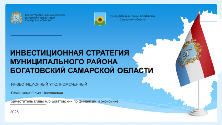 ИНВЕСТИЦИОННАЯ СТРАТЕГИЯ МУНИЦИПАЛЬНОГО РАЙОНА БОГАТОВСКИЙ САМАРСКОЙ ОБЛАСТИ