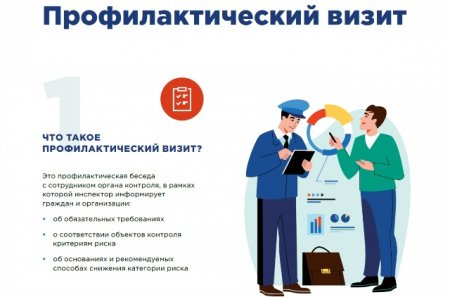 Профилактический визит